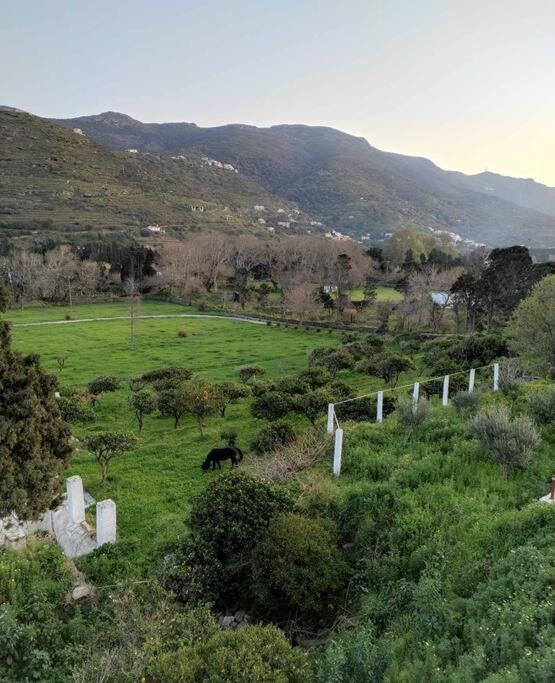 Stellinas Pretty House Villa Ándros Dış mekan fotoğraf