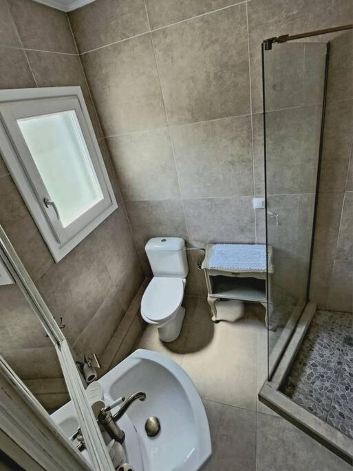 Stellinas Pretty House Villa Ándros Dış mekan fotoğraf