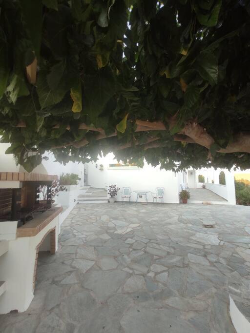 Stellinas Pretty House Villa Ándros Dış mekan fotoğraf